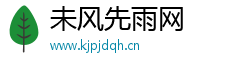 未风先雨网